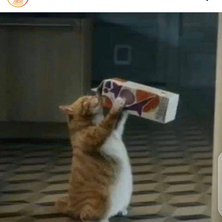 Kresek 2 Gelas Kantong Plastik 2 Cup