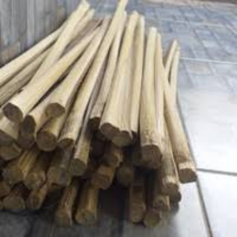 ajir penyangga tanaman