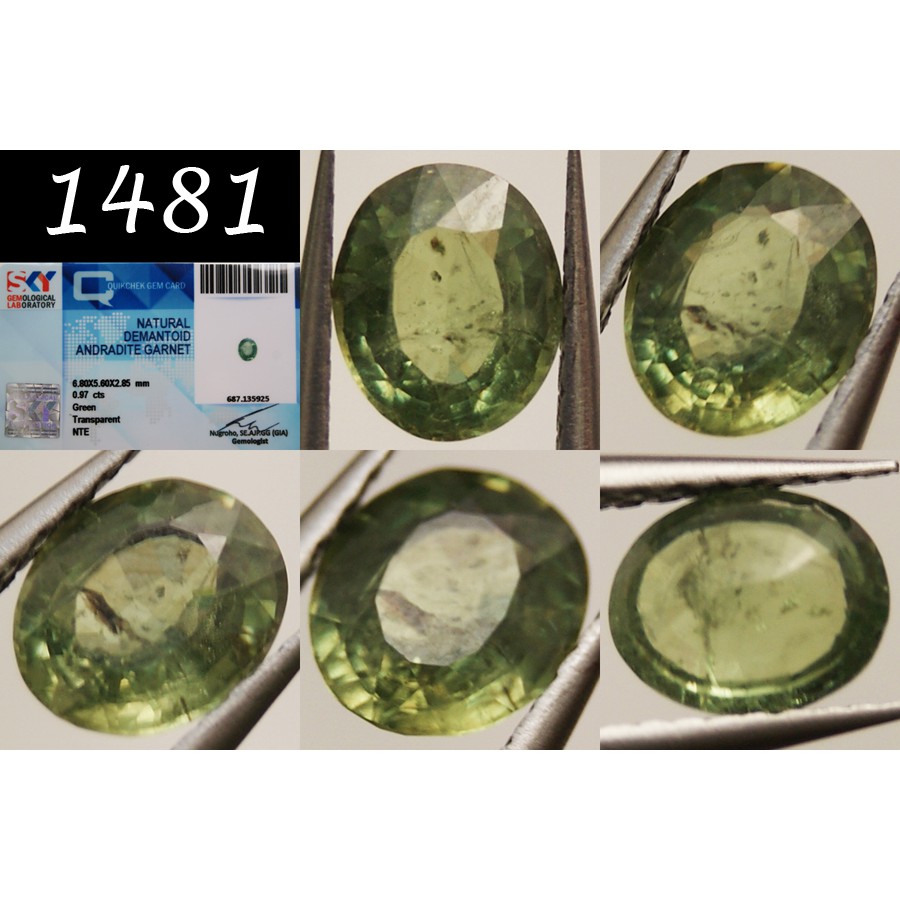 *SPARKLING* Natural Demantoid Garnet + Memo