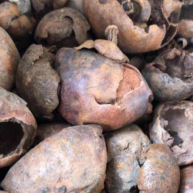

HERBAL KULIT MANGGIS ( 1 kg )