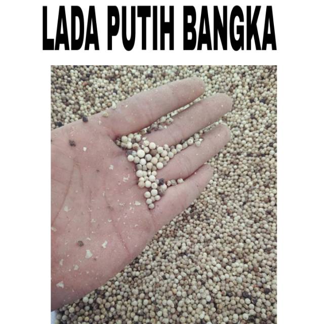 

Lada Putih Butir asli BANGKA khas lebih pedas kemasan 500GR