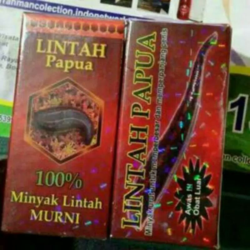 Lintah Papua Asli 100% Original