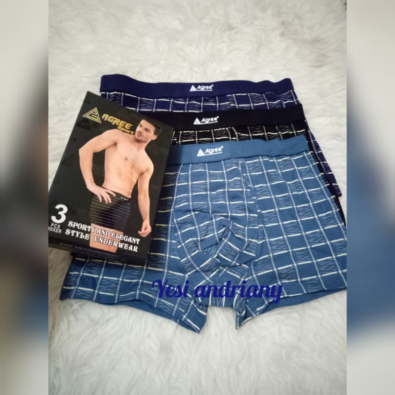 boxer agree sport isi 3
