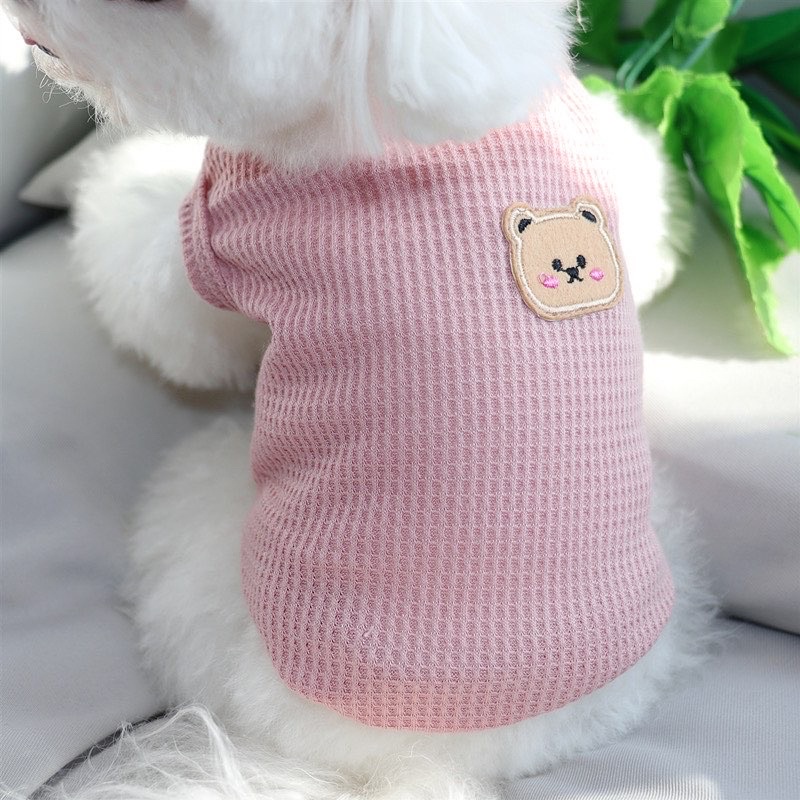 JUJUBE BEAR KOREA TEE