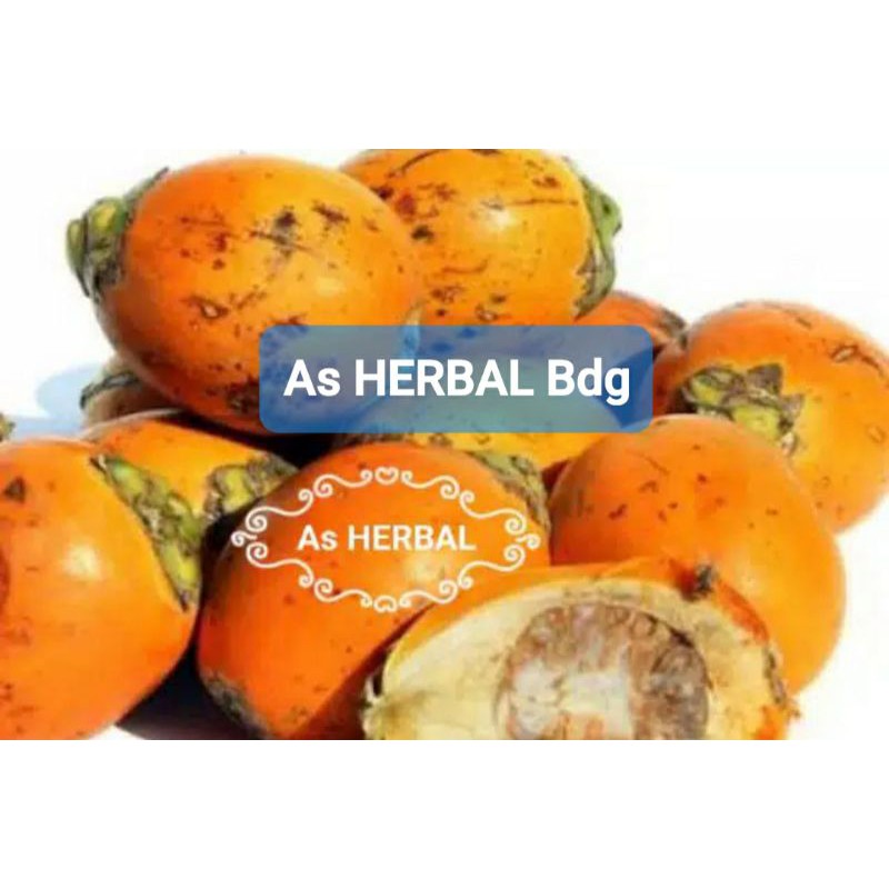 

Buah Pinang Tua 1 Kg - GRATIS akar pinang-az
