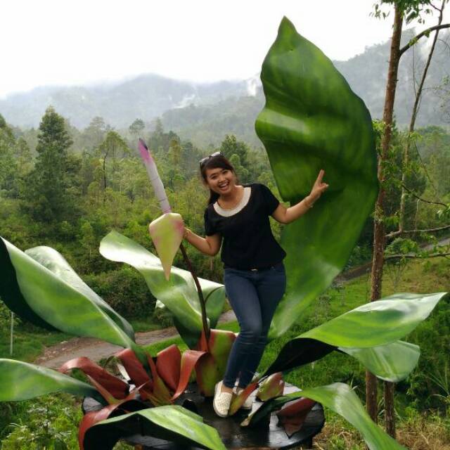 nitadina