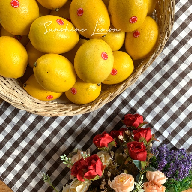 

JERUK BUAH LEMON KUNING JUICY CALIFORNIA by SUNSHINE LEMON