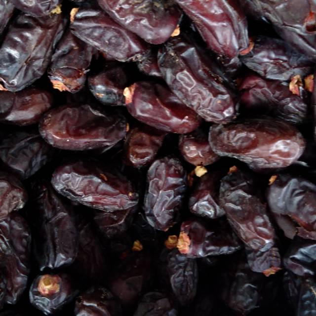 

Kurma safawi