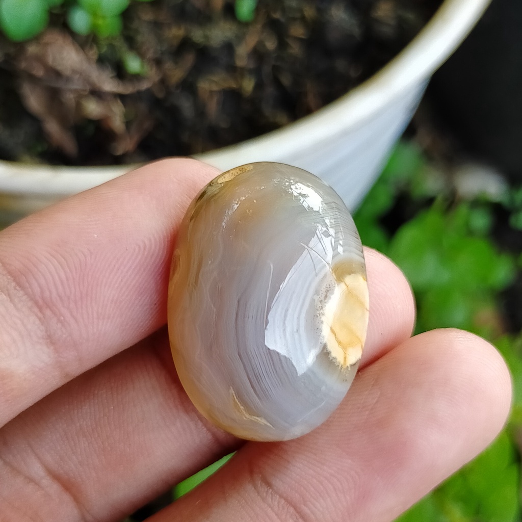 batu akik serat ginggang putih bkn ruby safir zamrud opal giok yakut wulung kalimaya cincin