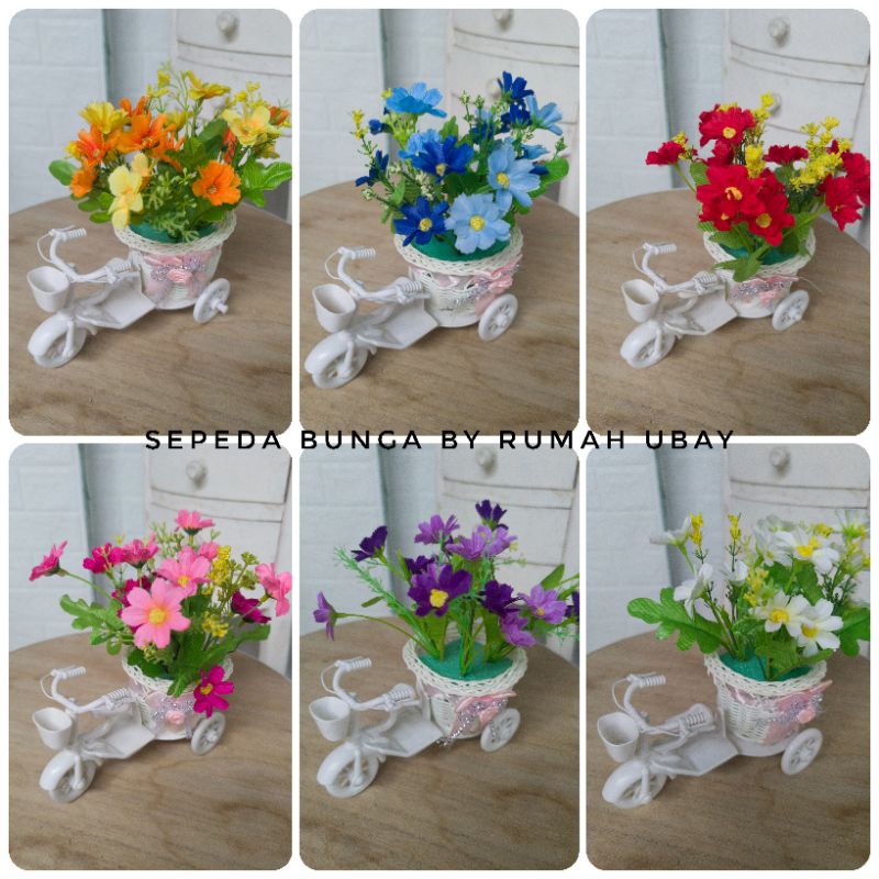 [COD]✓SEPEDA BUNGA ASTER KERANJANG