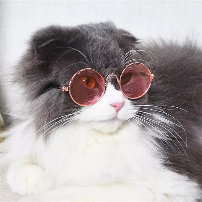 TERMURAH Kacamata Kucing Anjing Eyeglasses Sunglasses Hewan Kecil Pet Dog Fashion Hewanpp