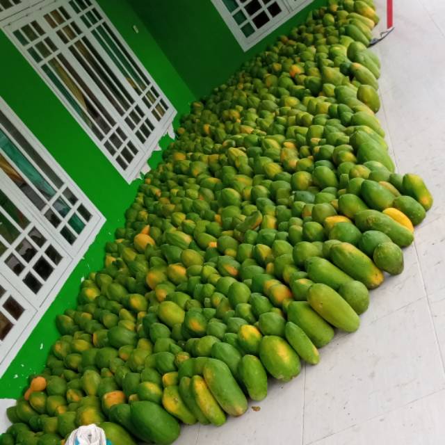 

Pepaya California