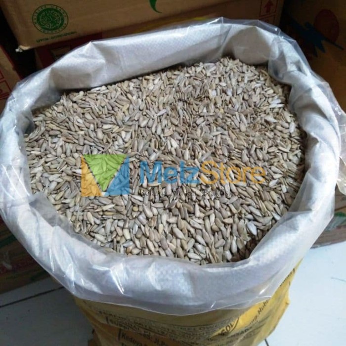 

MURAH Biji Bunga Matahari Sunflower Seeds Kuaci Mentah Import 500gr