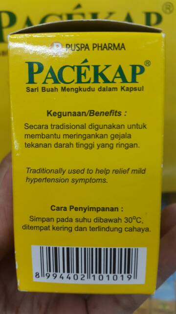 PACEKAP SARI BUAH MENGKUDU