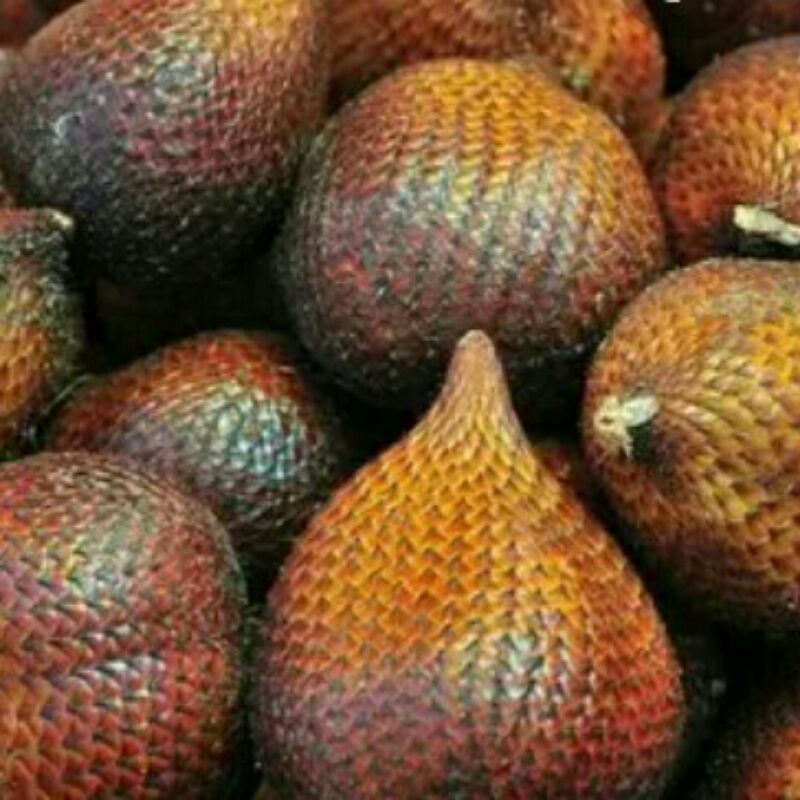 

SALAK PONDOH PER 1 KG