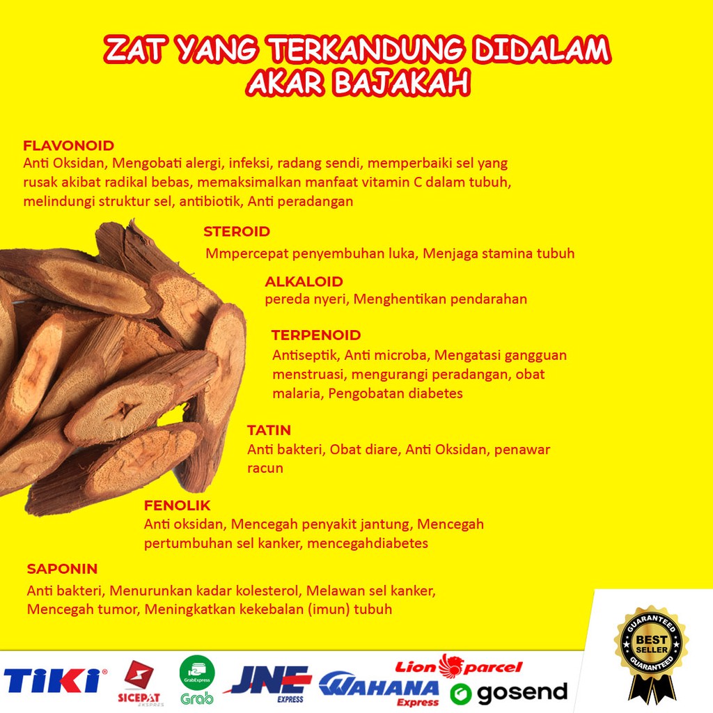 AKAR BAJAKAH TAMPALA ASLI KALIMANTAN  / BAJAKAH TAMPALA OBAT HERBAL KANKER TUMOR / KAYU BAJAKAH