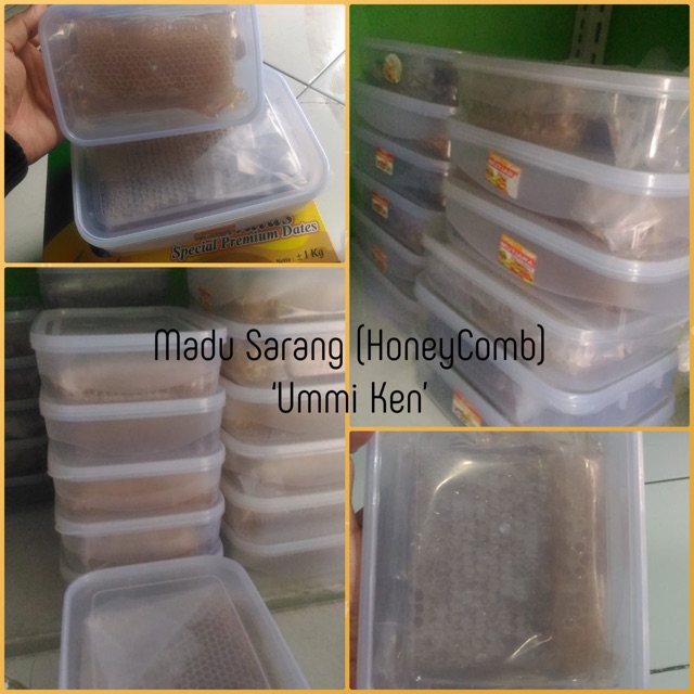 

Madu Sarang (HoneyComb)