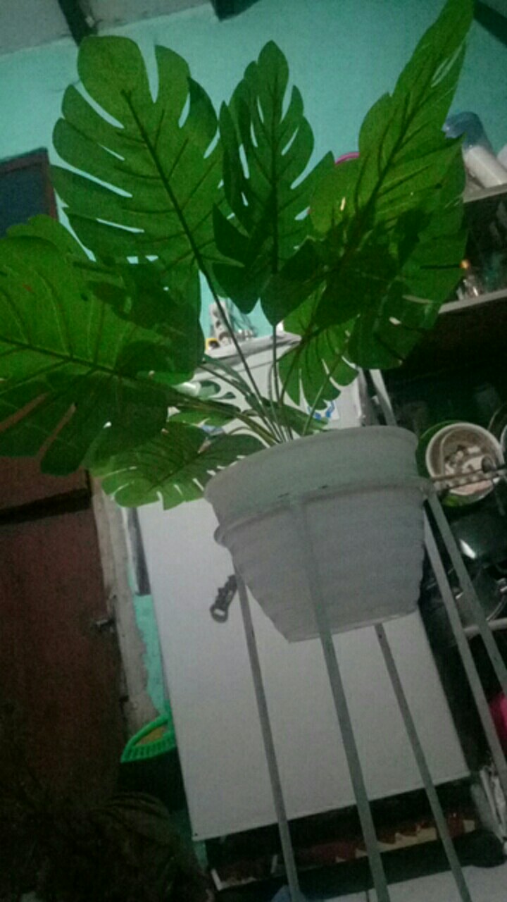 Ariani1318 Set Bunga Plastik Daun Monstera Dengan Pot Plastik Tawon Dekorasi Rumah Shabby Chic