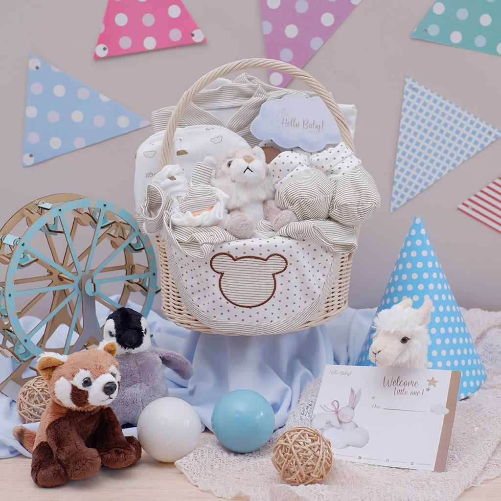 BARU LIO034 (Boys) Parcel Premium Hello Baby Hampers Gift 0-3 months