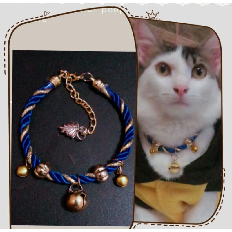 kalung kucing biru lonceng 3 mewah dan elegant