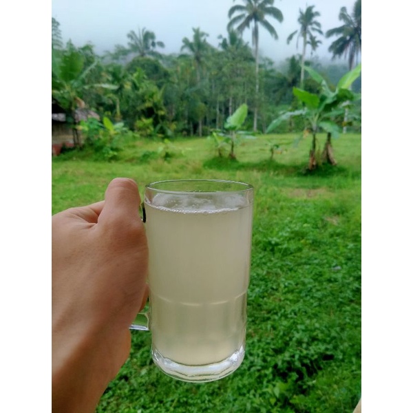 

Air Nira Segar Murni 100% (500ml)