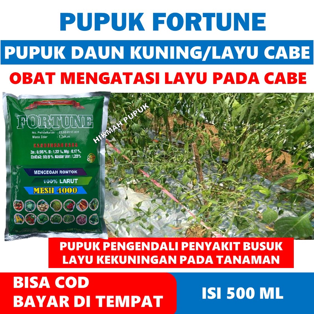 PROMO FORTUNE 1 KG Obat Layu/Kuning Daun Cabai Untuk Tanaman Cabe Keriting Kuning Daun - Obat Layu P