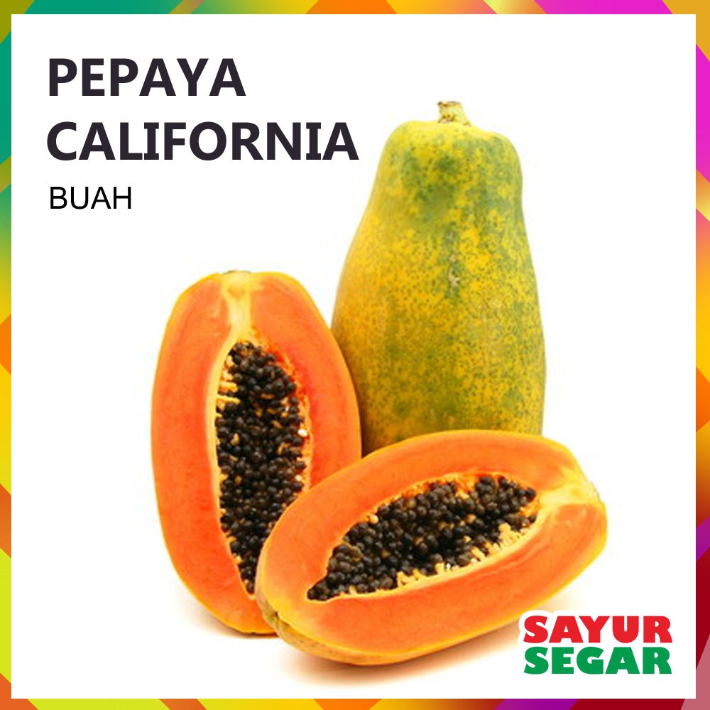 [sayursegar] Buah Pepaya California [1 Buah ±1kg] Shopee Indonesia