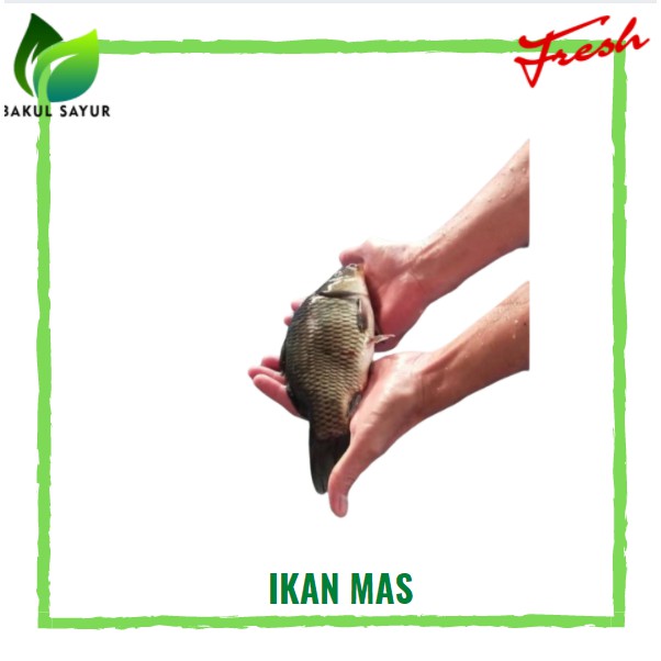 

Ikan mas segarjakarta timur 500 gram