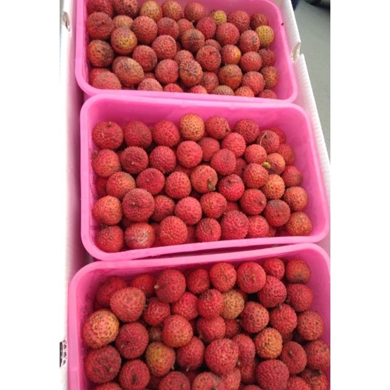 

Leci Merah Madu