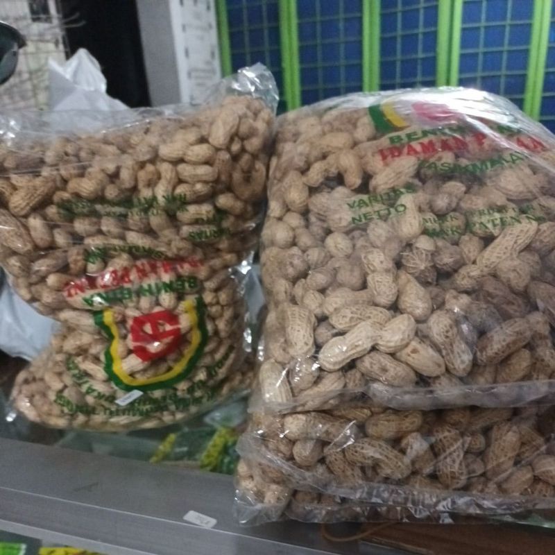 Jual Benih Kacang Tanah Unggul Isi Kg Shopee Indonesia