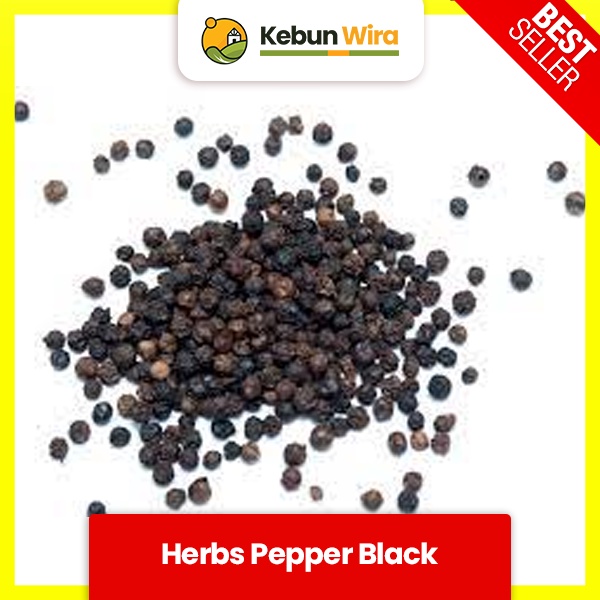 

Lada Hitam | Herbs Pepper Black Whole 1 Kg