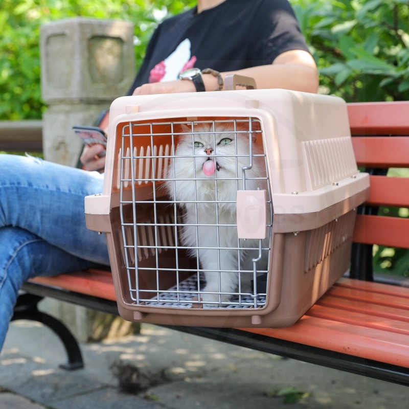 Pet Cargo Kandang kucing Pet carrier Kandang kelinci Kandang musang Ada pintu besi 30*32*48cm