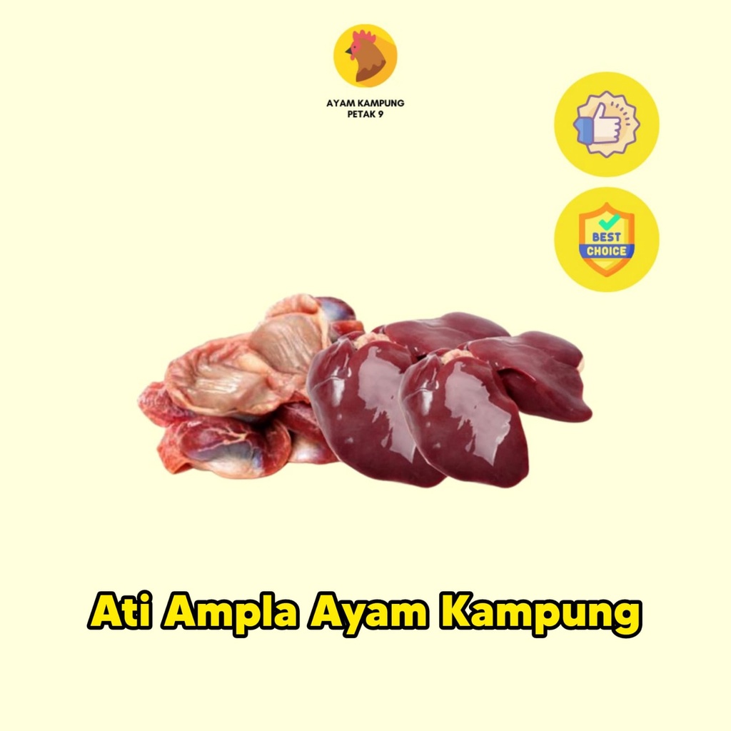 

Ati Ampela Ayam Kampung Segar Fresh Petak Sembilan