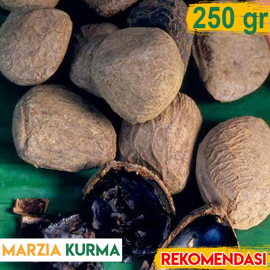 

Kluwek 250gr Asli Gunung Merapi