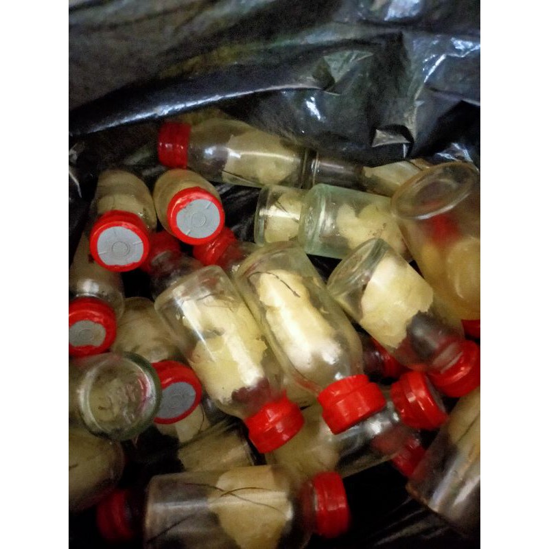 

herbal asli BIAK Nurfam papua