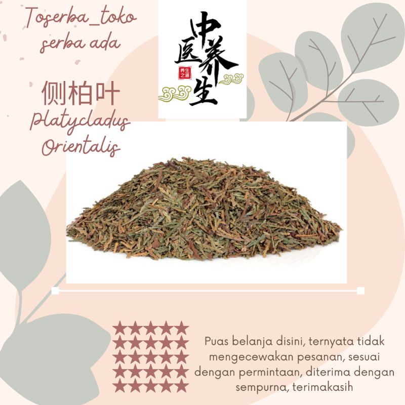 

100gr Herbal Ce Bai Ye 侧柏叶 Platycladus Orientalis