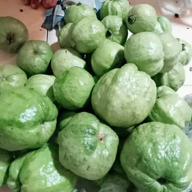 

Jambu kristal