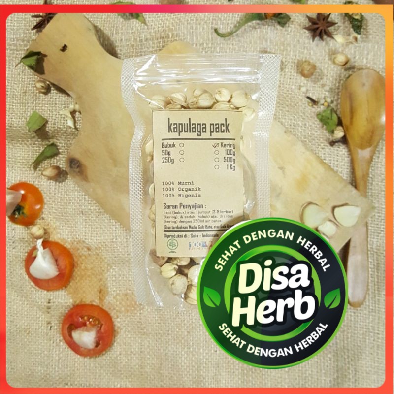 

KAPULAGA/KAPULOGO KERING 500 GRAM - Amomum Compactum - MURNI - JSR - REMPAH - PREMIUM QUALITY