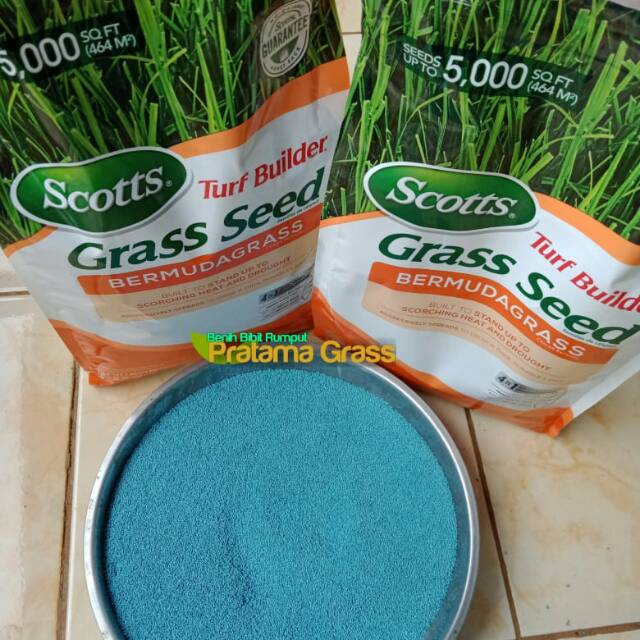 Bibit rumput golf 1kg - Bibit Rumput