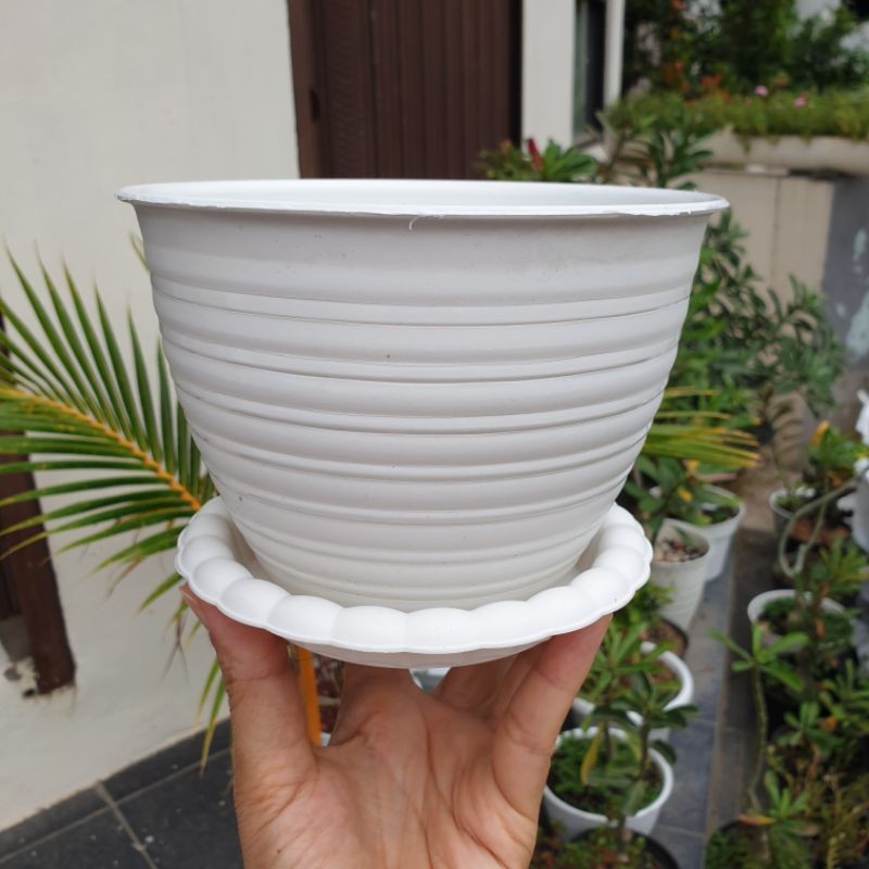 (1 set)  MDN 15 DENGAN ALAS 1set pot model tawon diameter 15cm termasuk tatakan