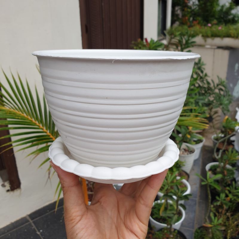 (1 set)  MDN 15 DENGAN ALAS 1set pot model tawon diameter 15cm termasuk tatakan