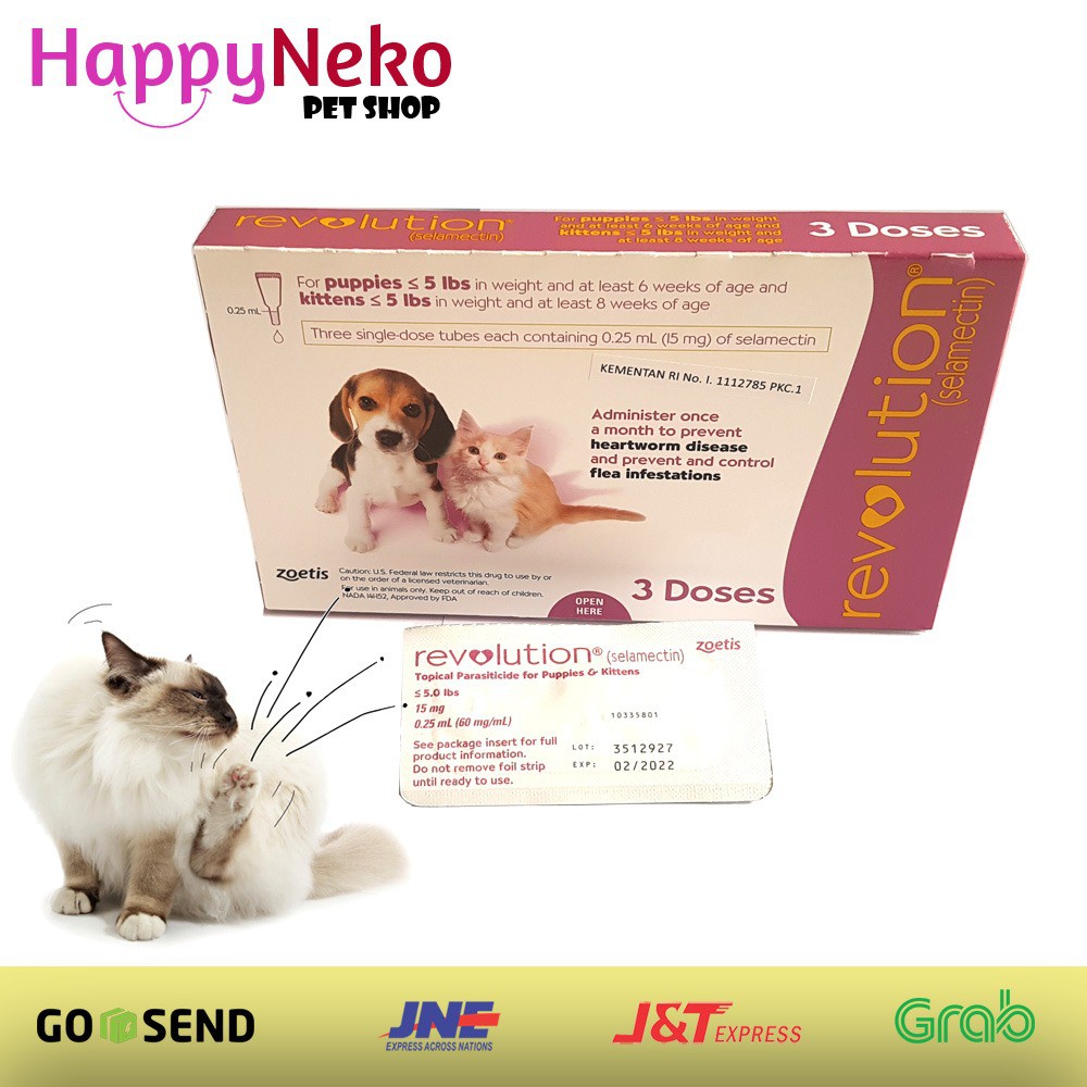 Revolution For Puppy And Kitten Obat Kutu Anak Anjing Anak ...