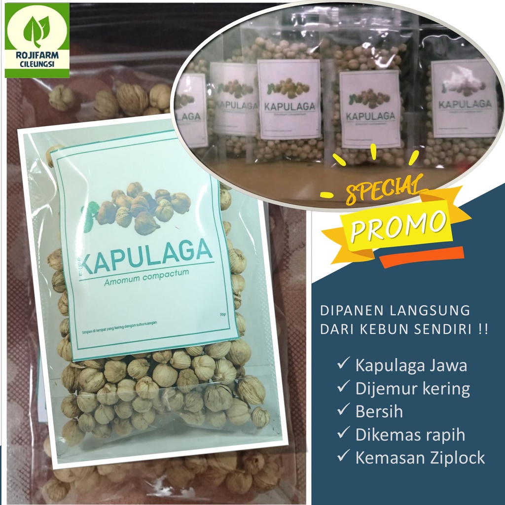 

Kapulaga Kering Kapol Jawa 50 gr - RojiFarm Cileungsi