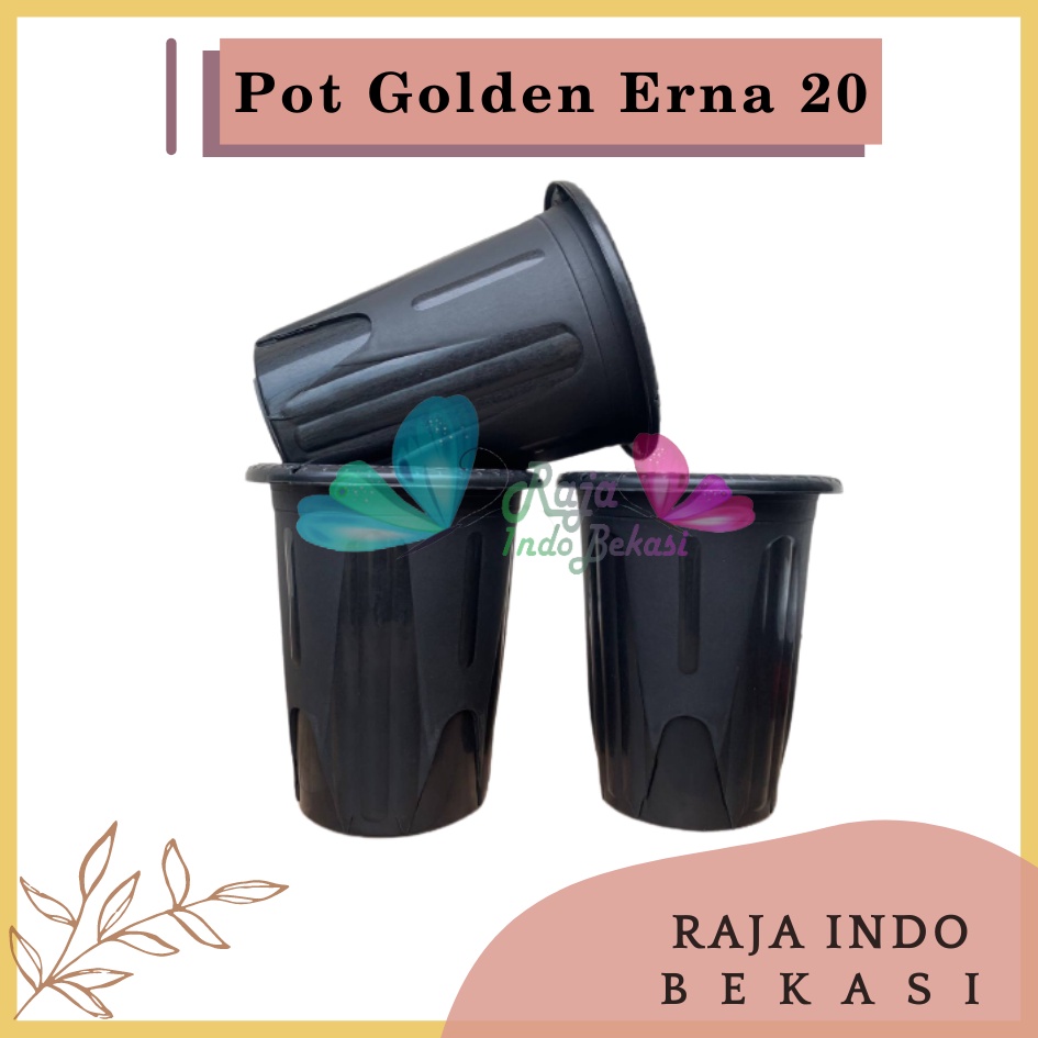 Rajaindobekasi Pot Golden Erna 20 Hitam Garden Of Love Mirip Pot Yogap 18 19 25 Murah Putih Coklat Merah Bata Bening Transparan Pot Yogap 18 19 25 Pot Yogap Murah Pot Bunga Tinggi Pirus Tegak Bagus Tebal