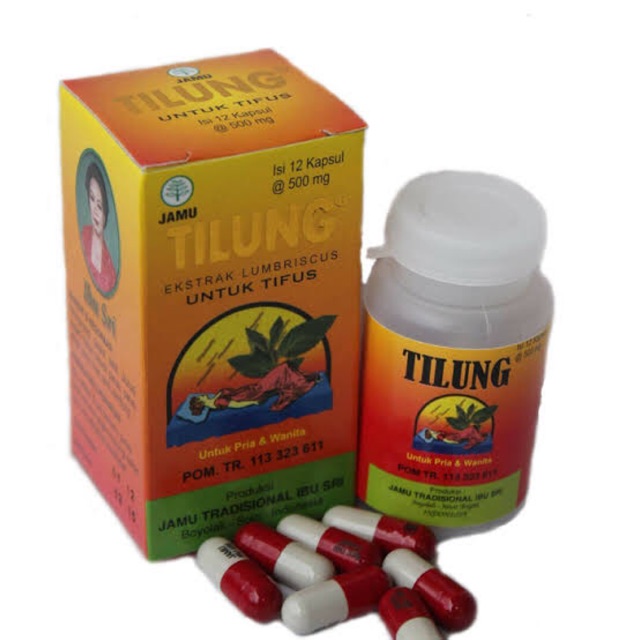 Tilung (cacing kering) - obat tifus / tipes & penurun panas