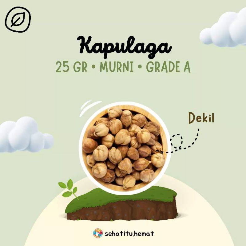 

Kapulaga Lokal Tanpa Pemutih 25gr Minuman Rempah JSR