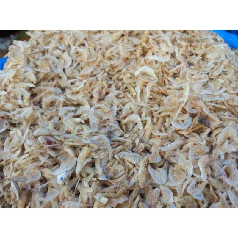 

sayursegar udang rebon 100gr