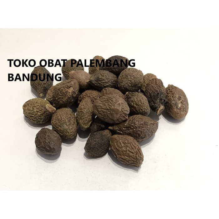 

ANTEHAI / TEMPAYANG / TEMPOYAN / SEMANGKUK / BENGTAHAI 100GR