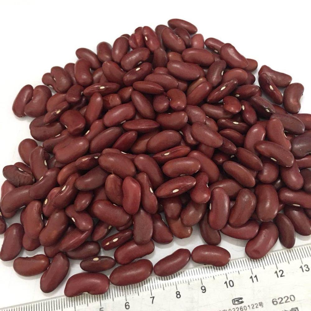 

Kacang Beras / Biji Kacang Panjang / 1kg
