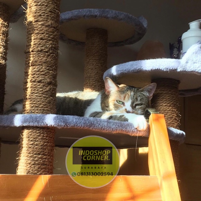 Tali rami Tali garukan kucing Cat condo Nature 8 mm mili berbahan khusus dan kuat